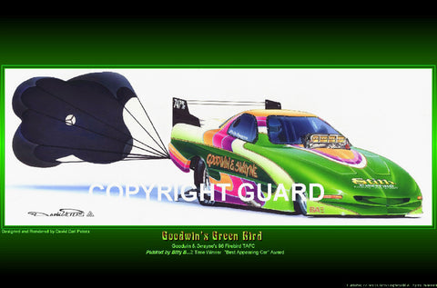 Goodwin's Green Bird!  Goodwin & Swayne's Trans Am...Drag Racing Artist