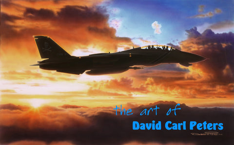 F-14 "Jolly Roger" Tomcat.."Into the Storm...Aviation Art
